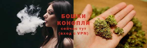 PSILOCYBIN Арсеньев