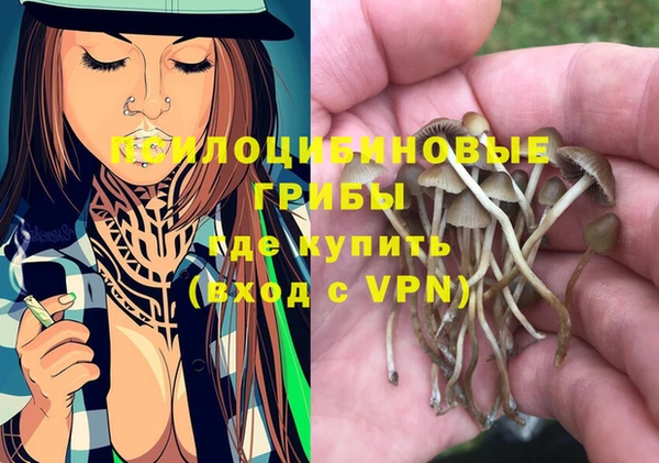 PSILOCYBIN Арсеньев